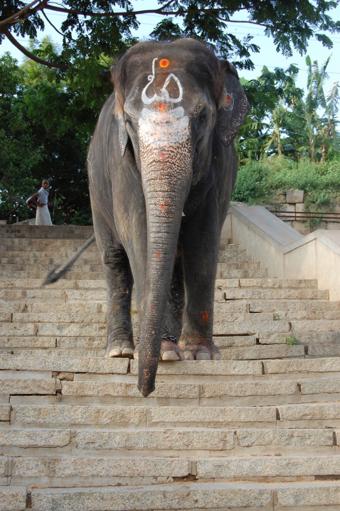 hampi-temple-elephant.jpg