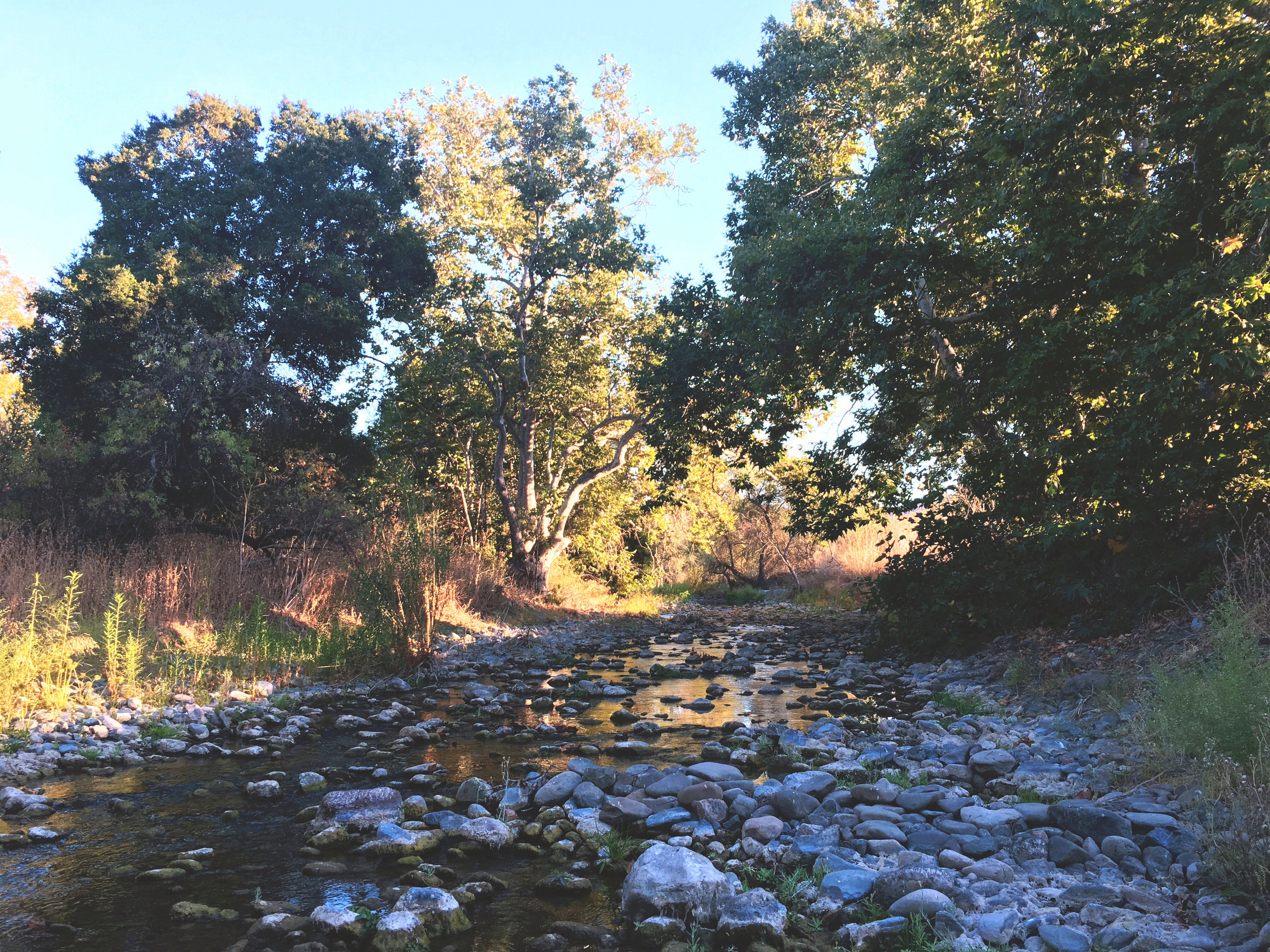Nature Creek Trail - October California 001.JPG