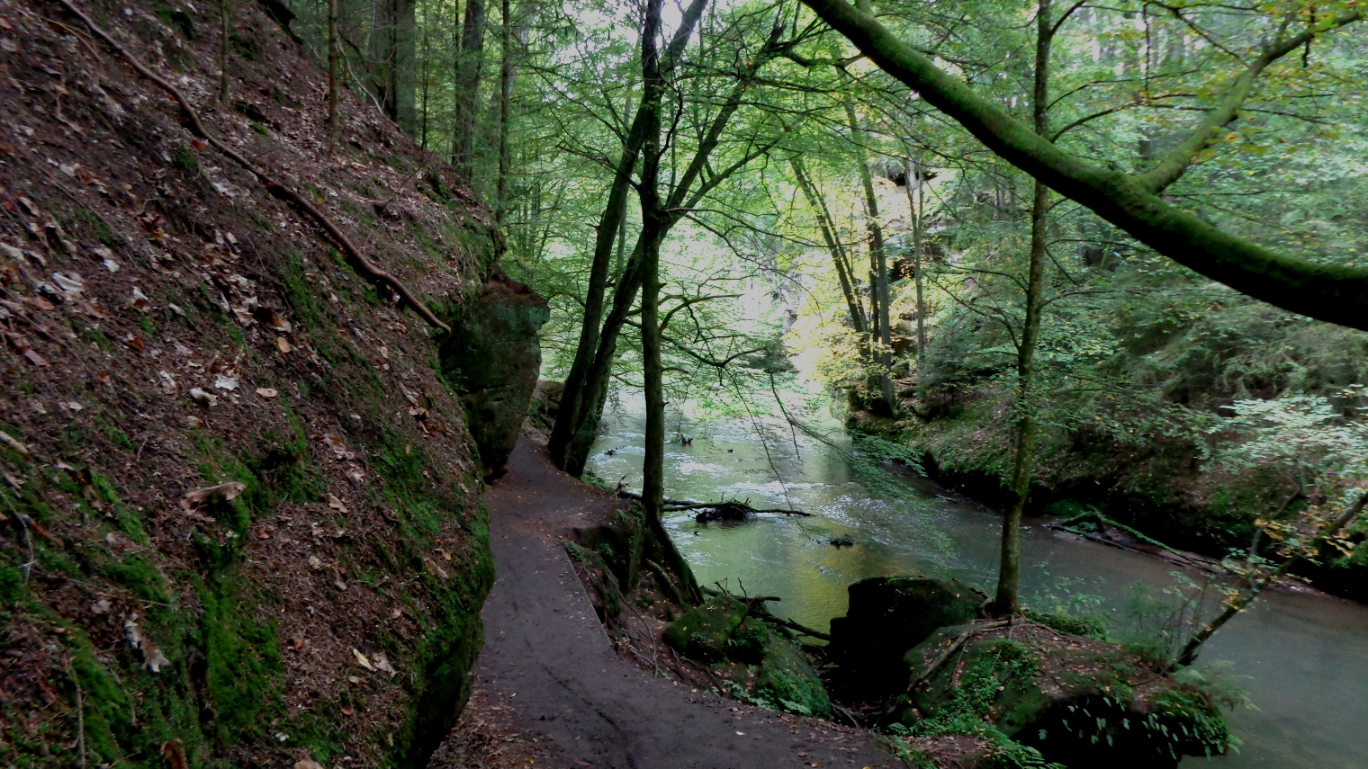 Schwarzachklamm 3.JPG