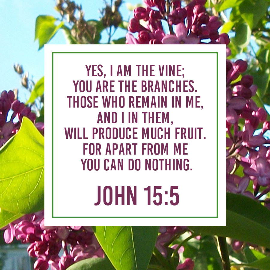 John 15 5.png