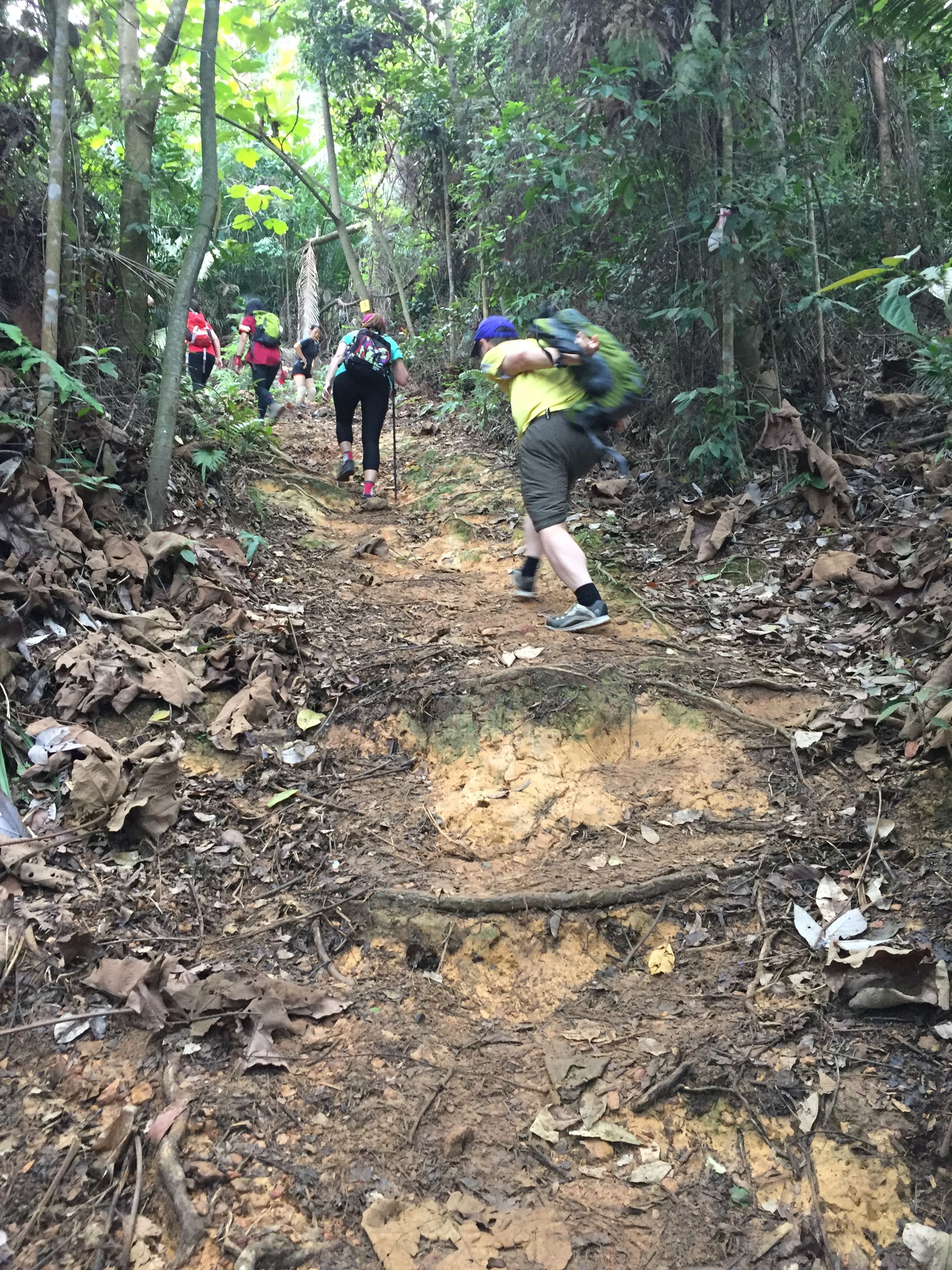 爬山记 Shah Alam Community Forest Steemit