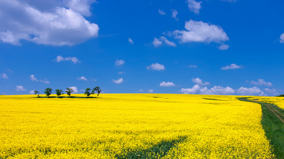 Beautiful Flat Land Of Terai Nepal Steemit