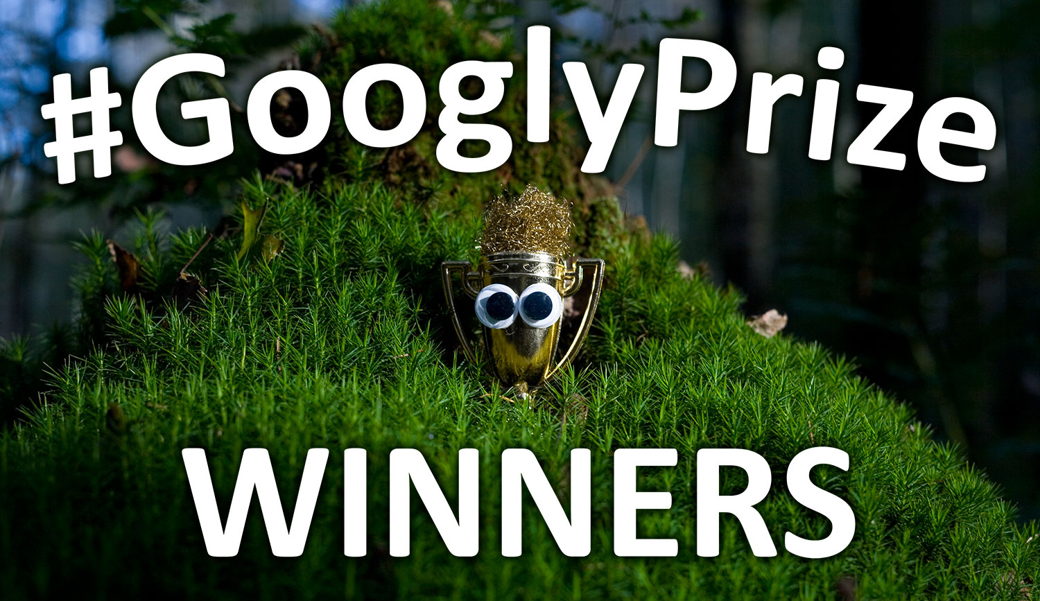 GooglzPriye Winners 16