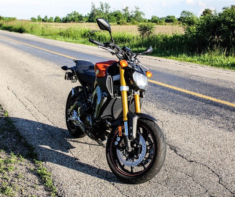 fz09.jpg