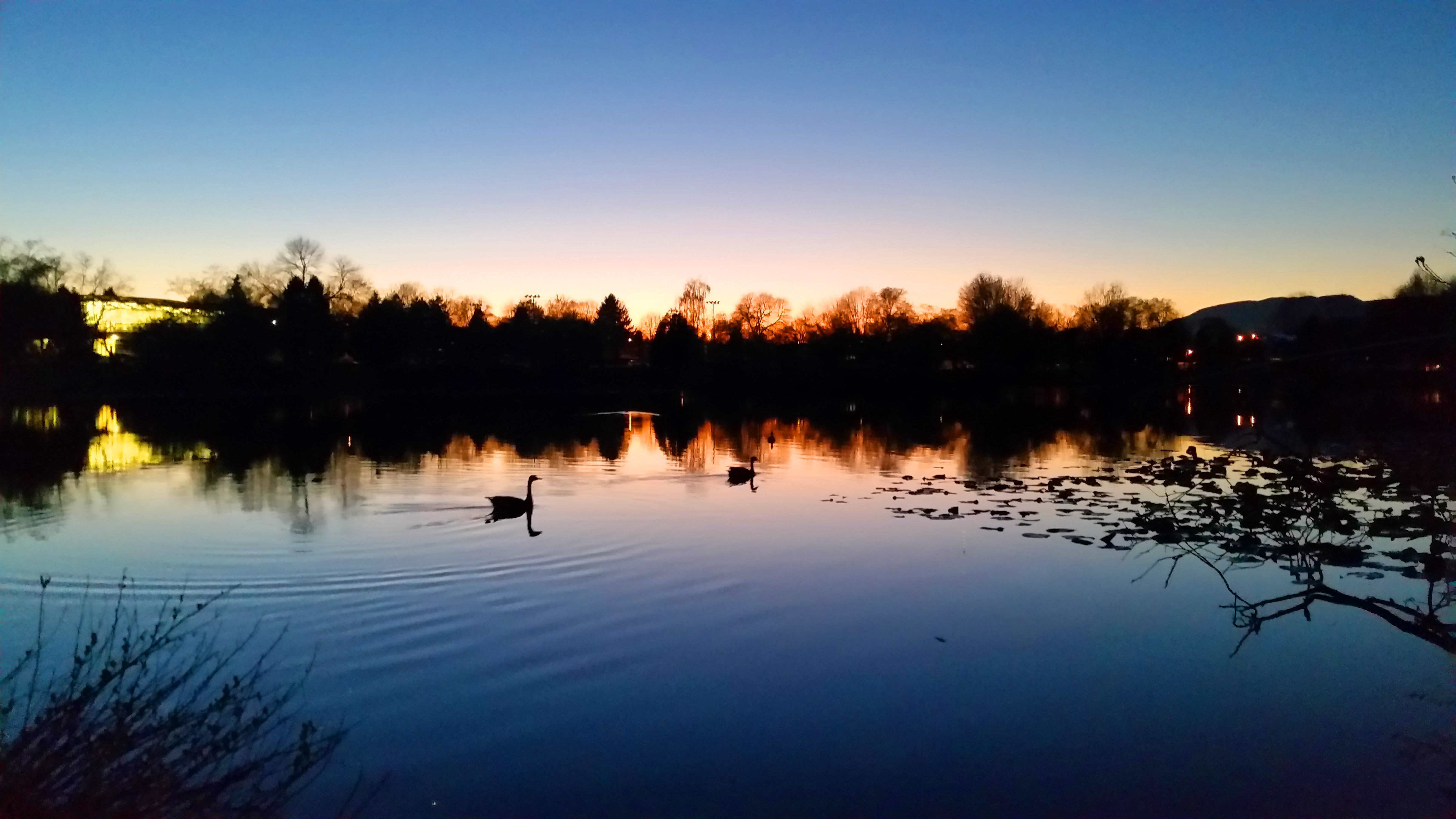 20160331_202052.jpg
