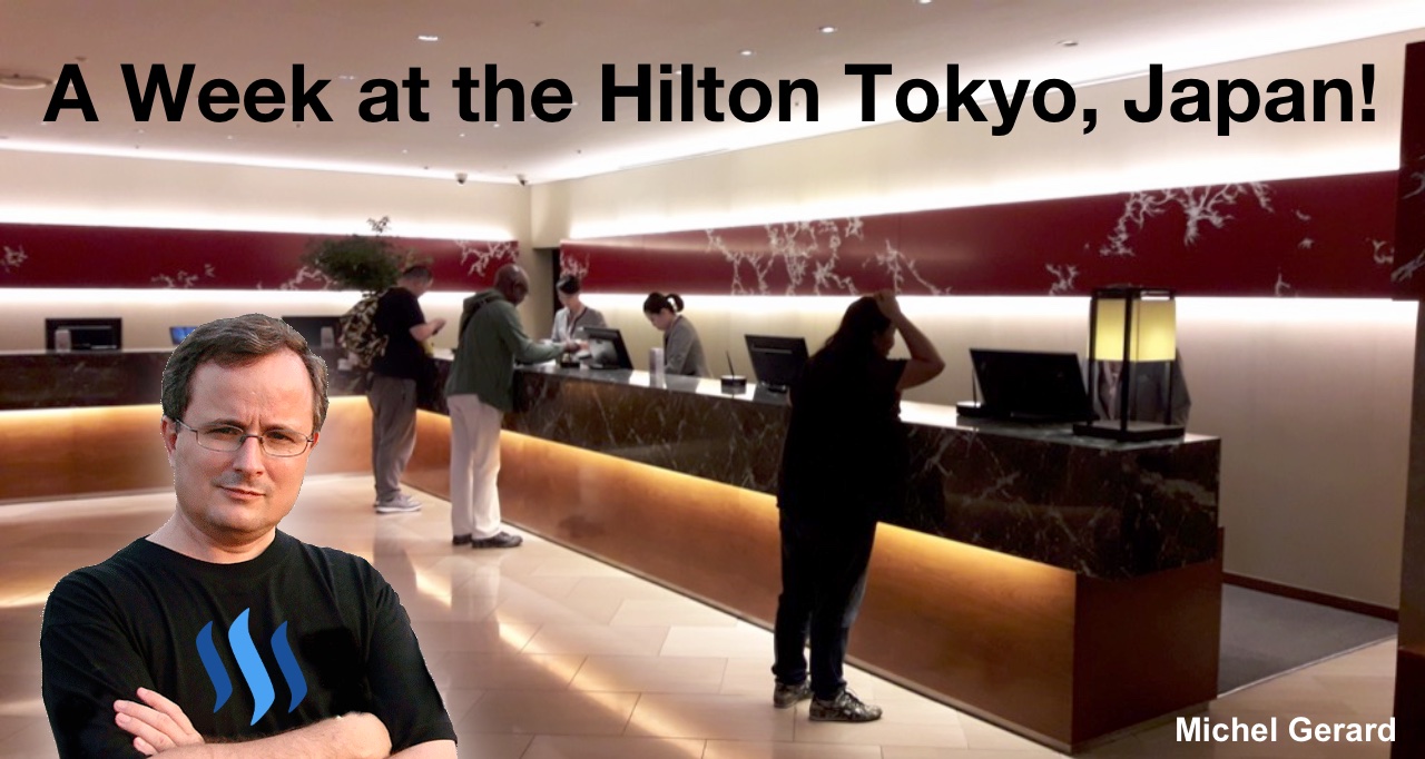 A Week at the Hilton Tokyo, Japan!