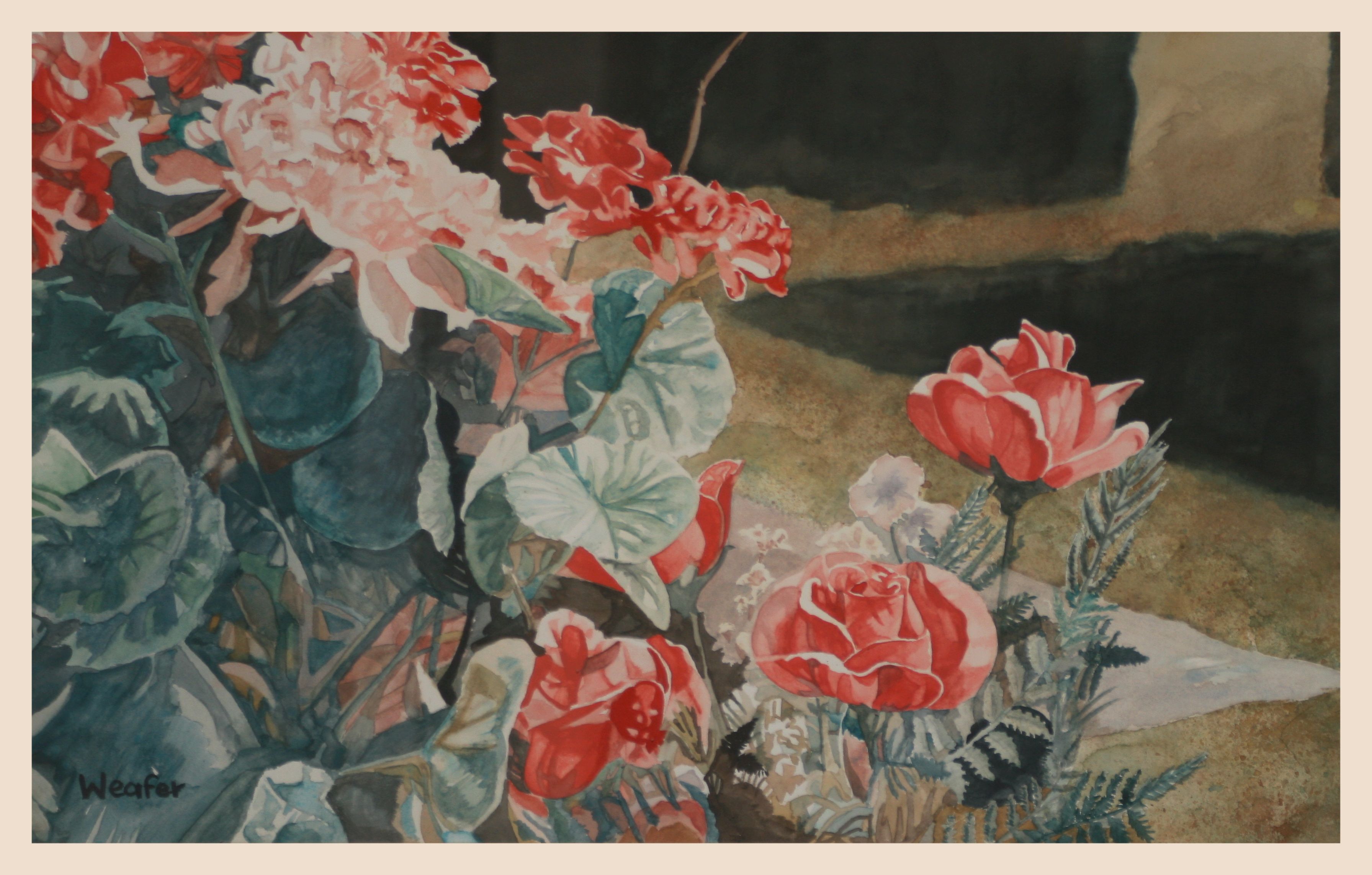 Roses Of Oakwood by Roger Weafer.jpg