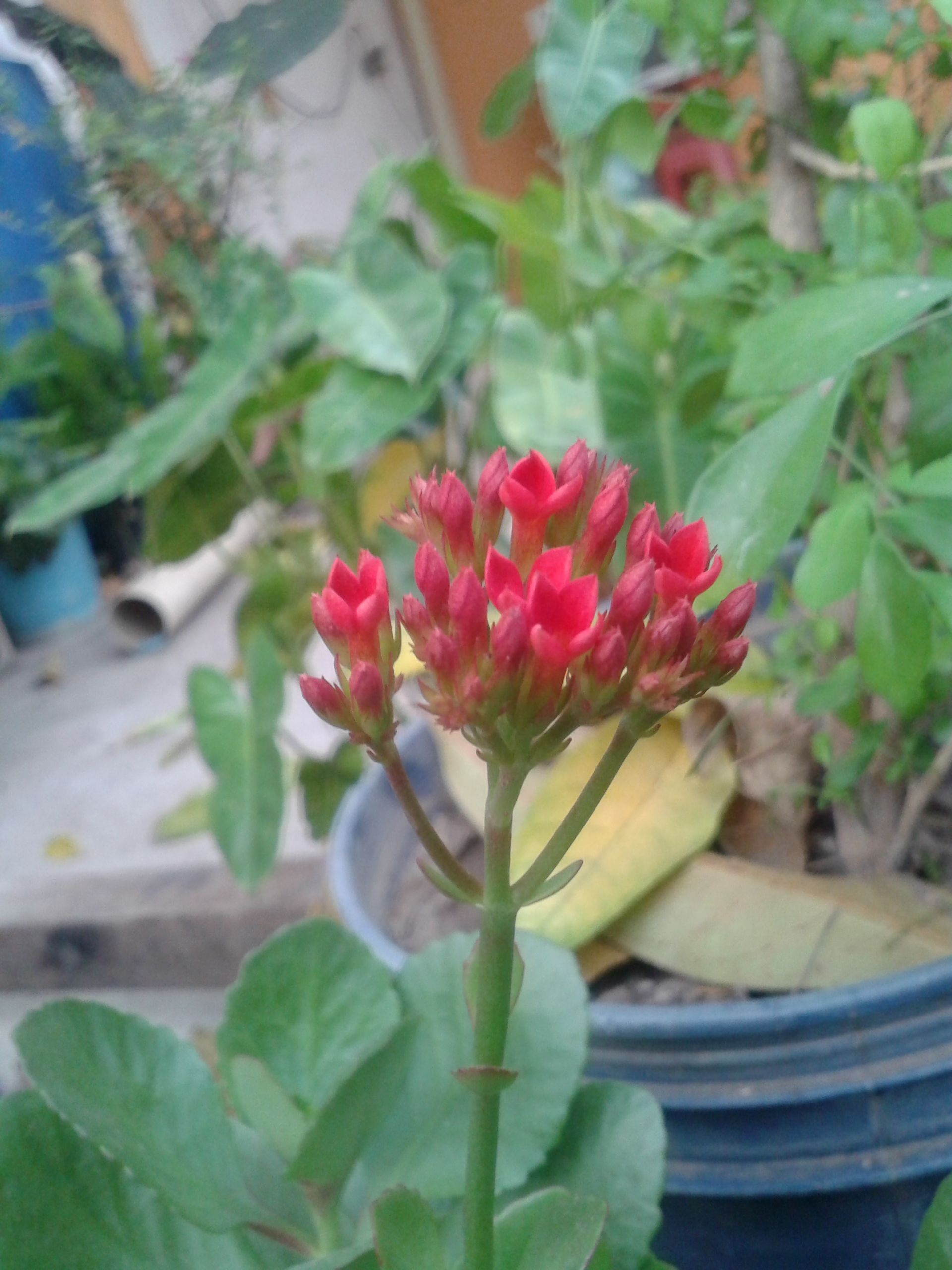 20180315_071527.jpg