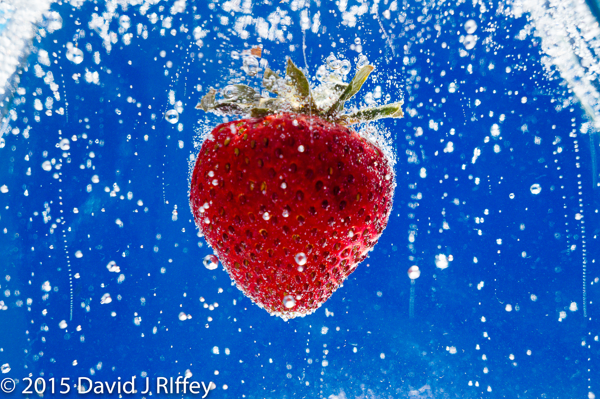 Strawberry Sparkle 20151017_0013-2w.jpg