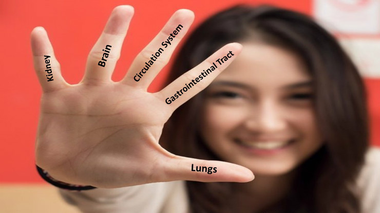 The Five Fingers of Care