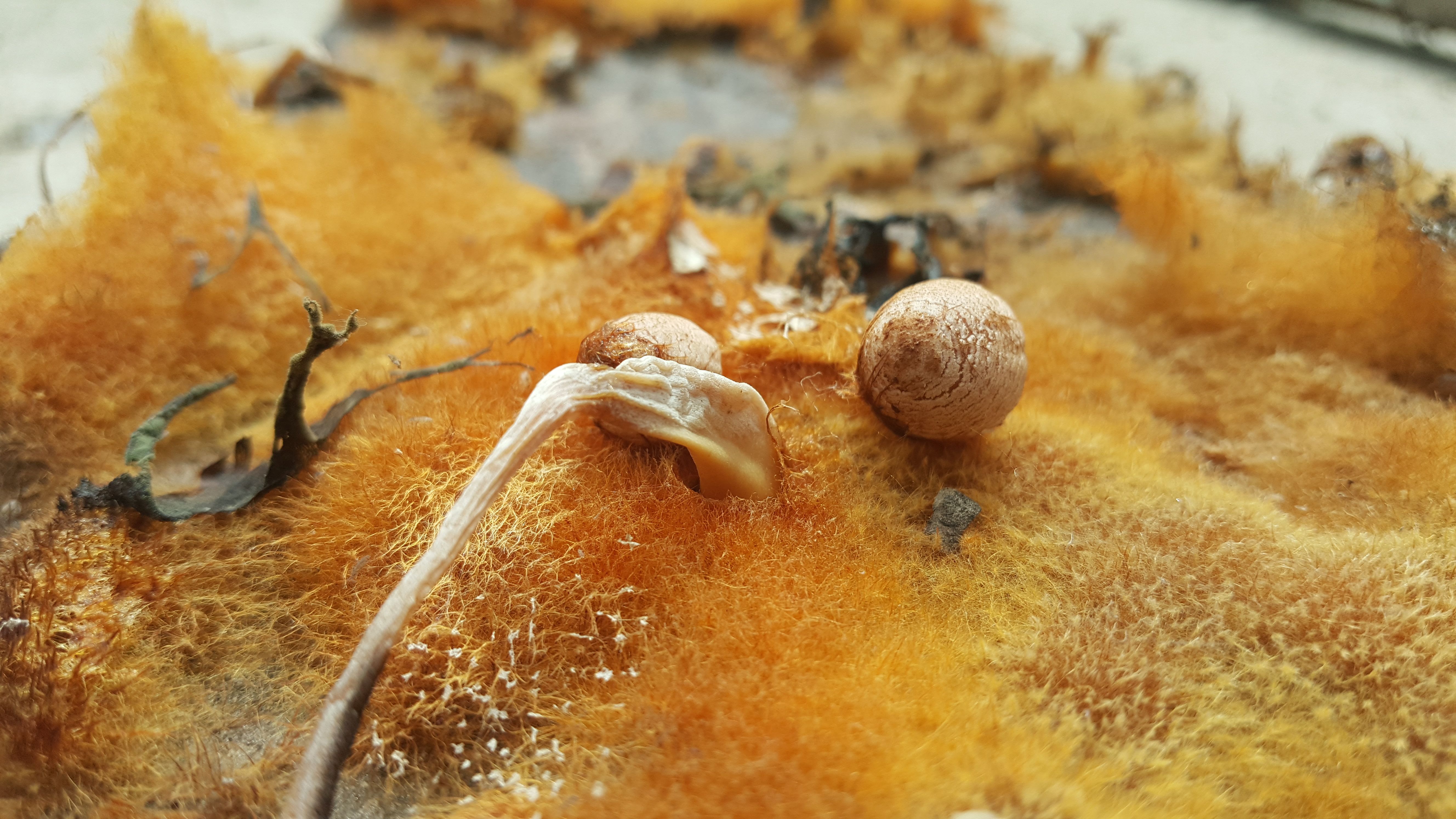 20180515_102010.jpg