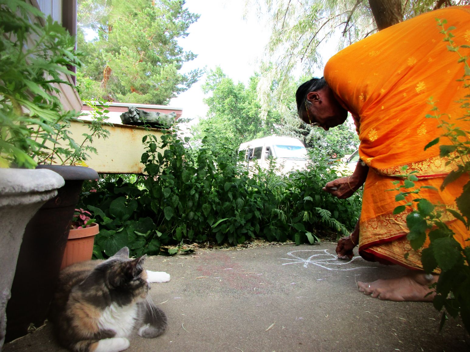 kitty kolam.jpg