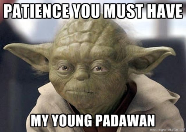 yoda.jpg