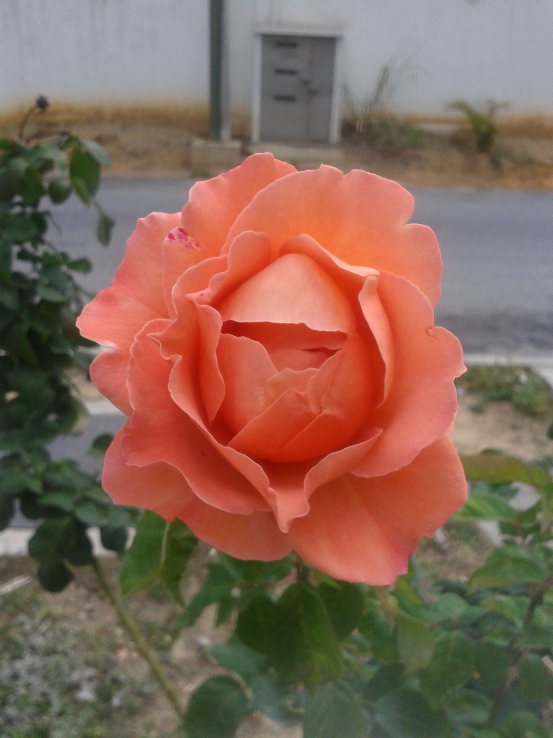 20180301_150615.jpg