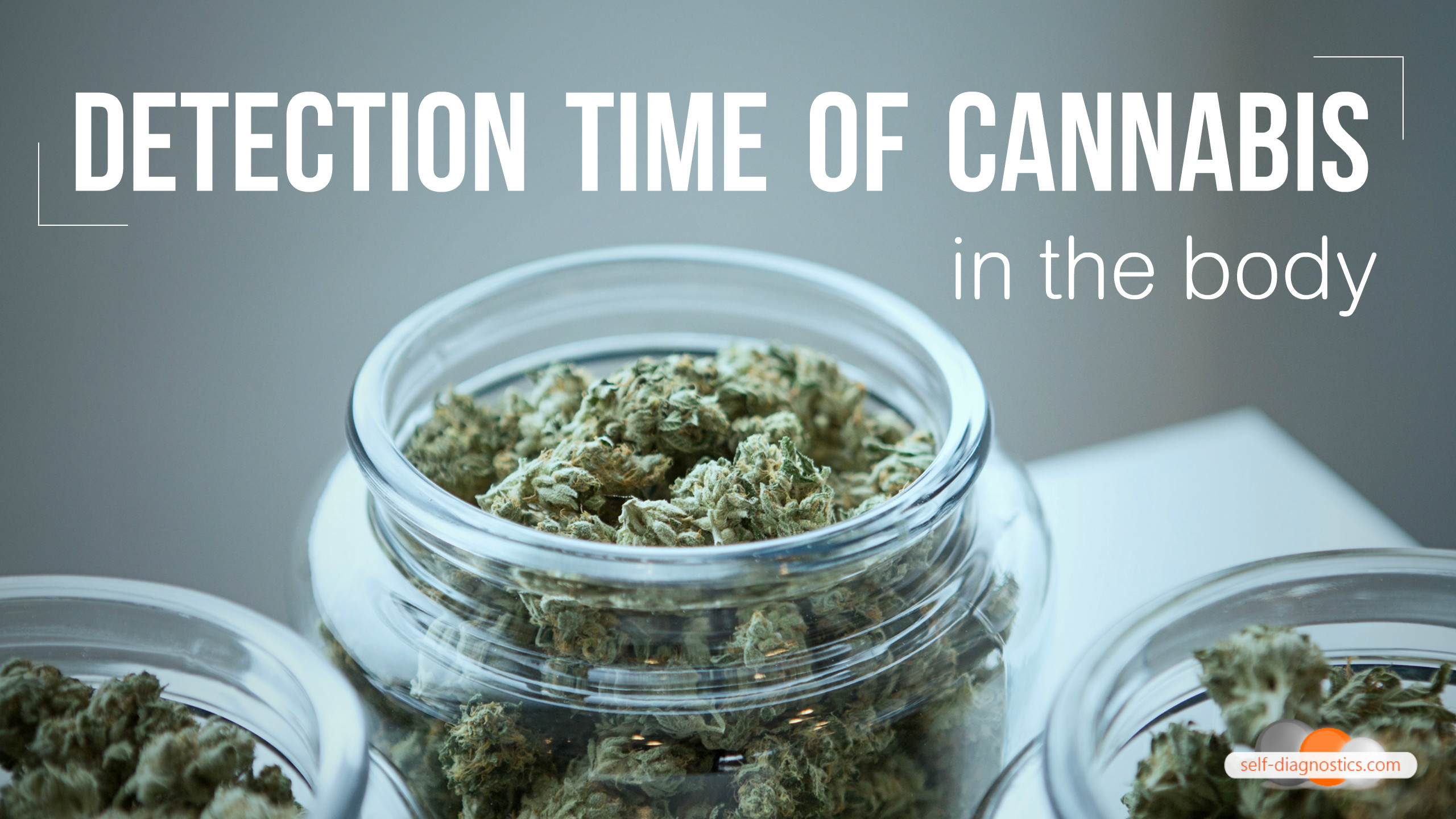 Detection time of cannabis in the body.jpg