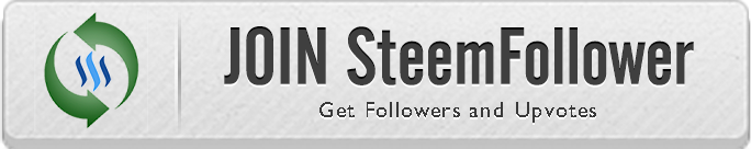 SteemFollower Logo