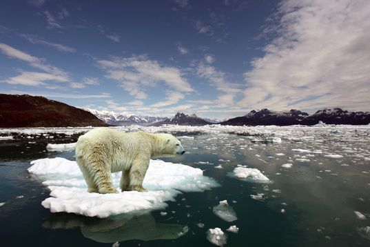 deriver-immensite-web.jpg