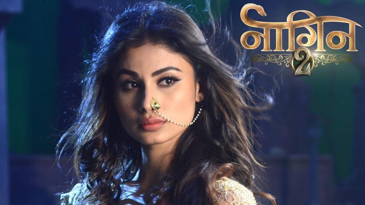 533861-naagin-2.jpg