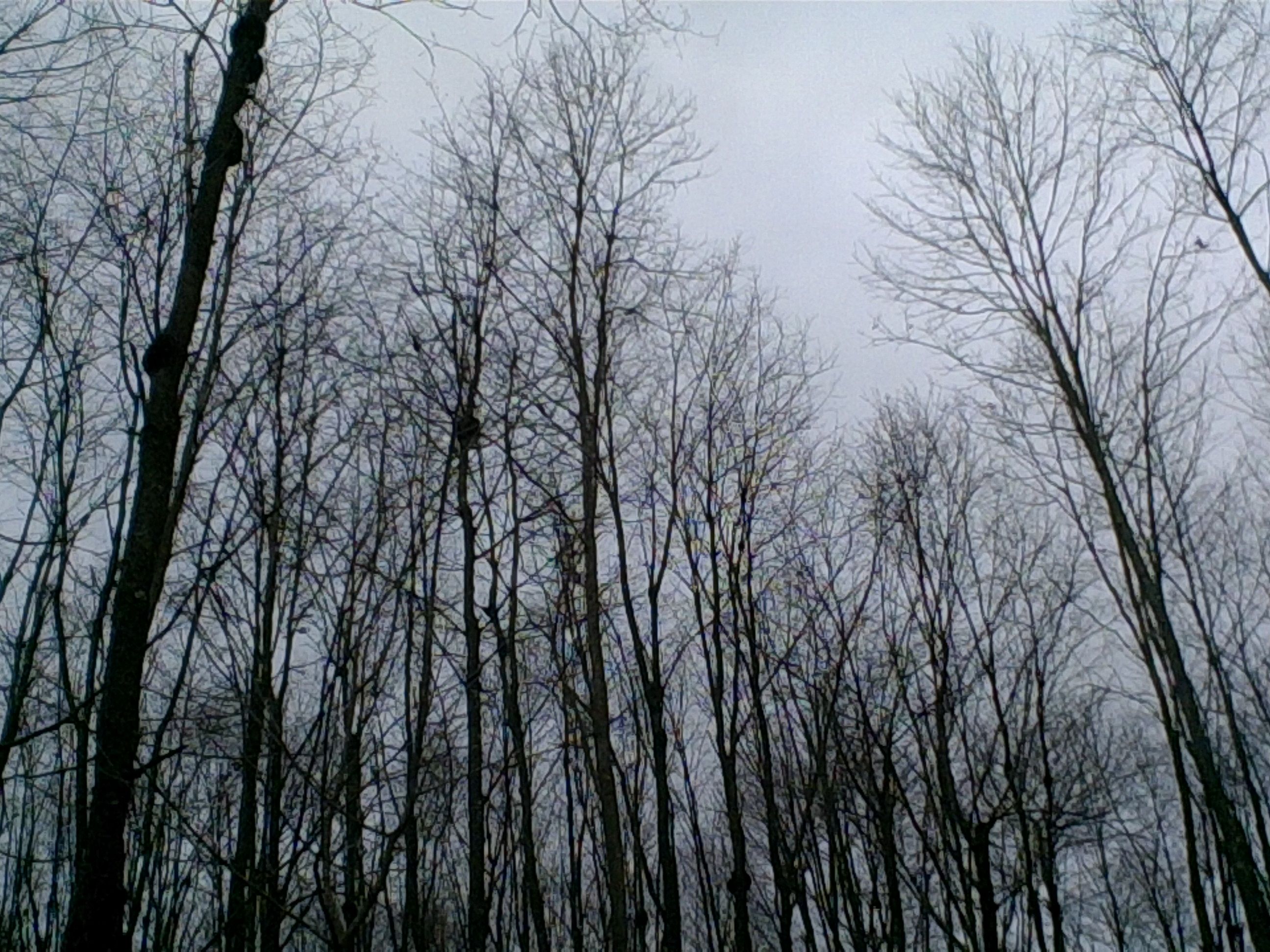 20170627_152207.JPG