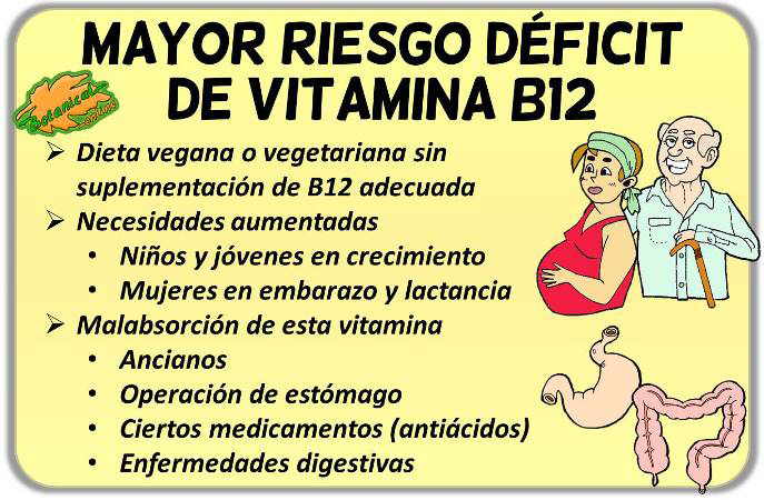 Donde encontrar vitamina b12 vegetariana