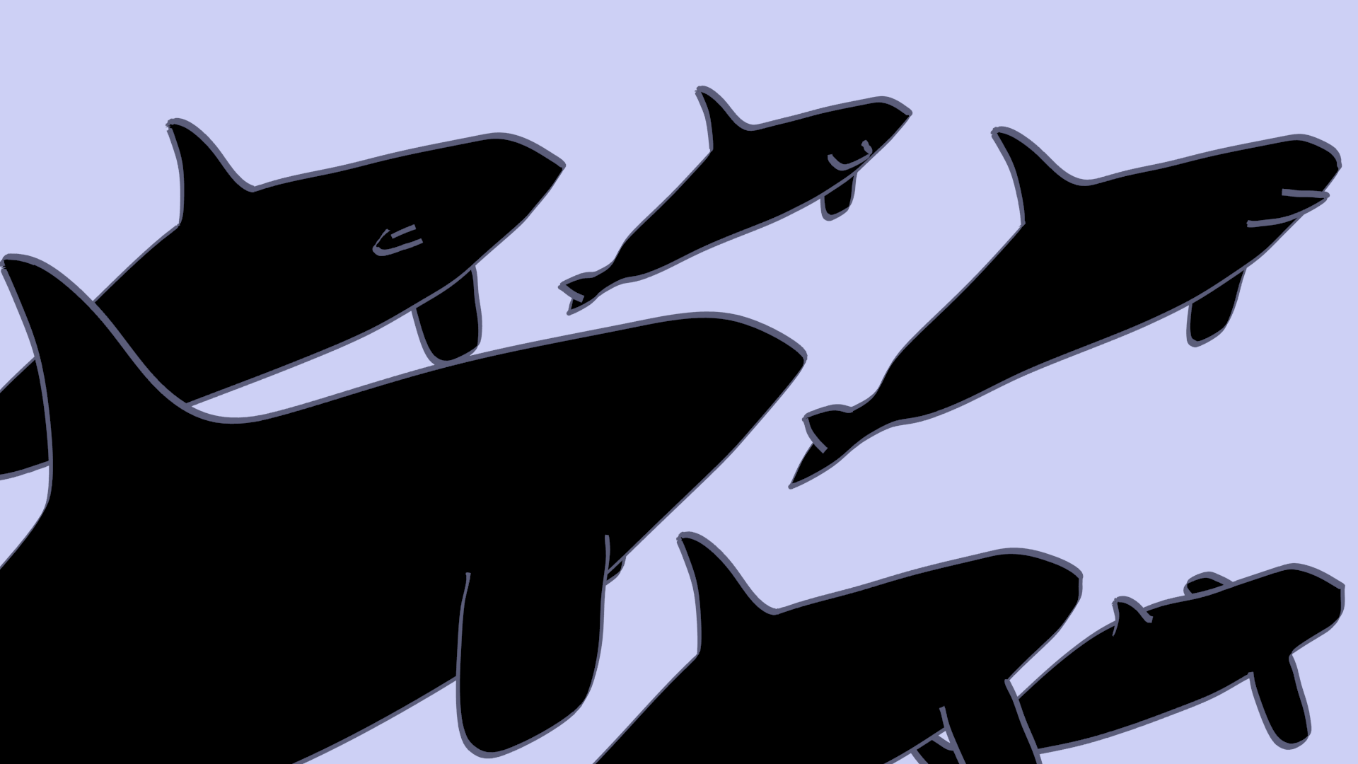 KillerWhaleComposition.png