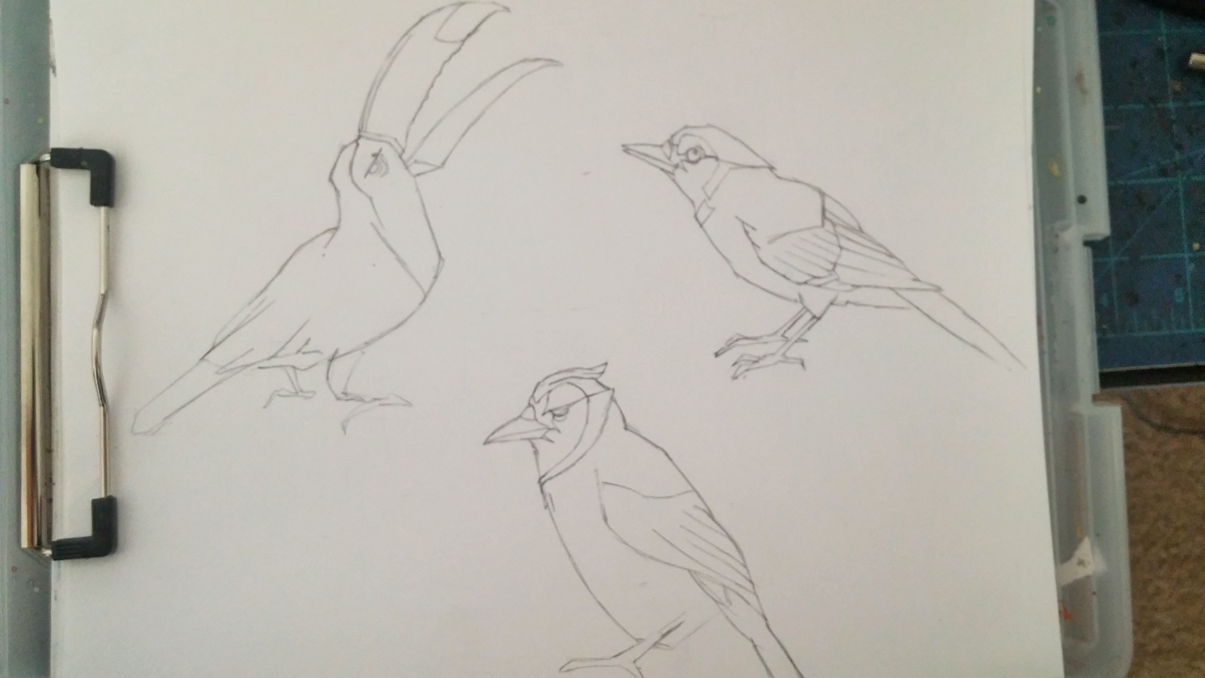 birds sketch.jpg