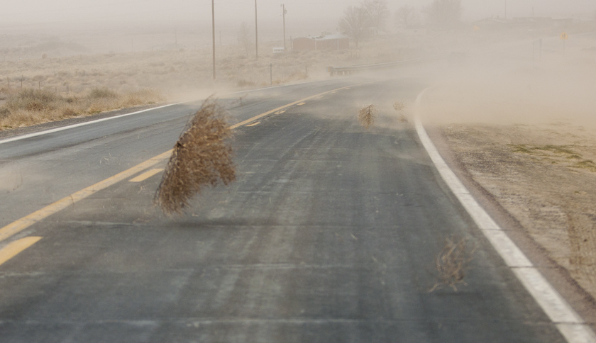 tumbleweed.jpg