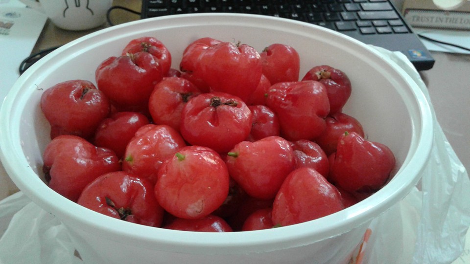 34 red rose apple or water apple.jpg