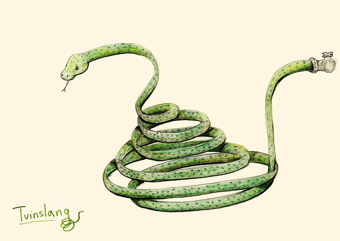 garden-snake.jpg