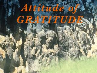 Gratitude Image.jpg