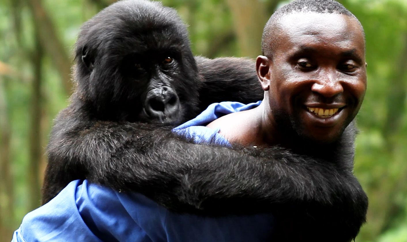 Andre-With-Gorilla-Virunga-National-Park.jpg