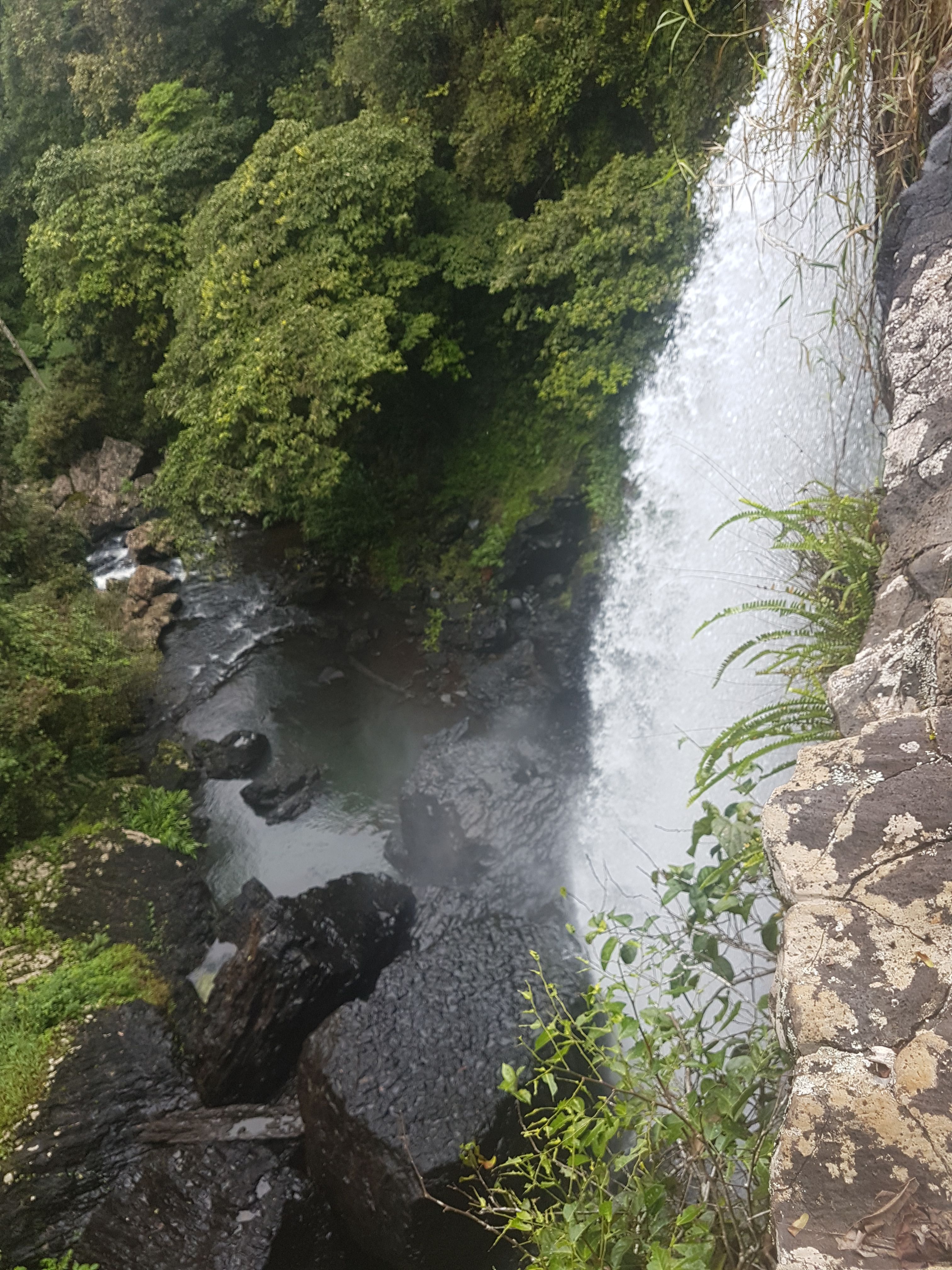 20170611_124615.jpg