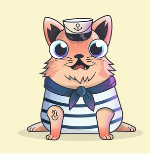 ship kitty.jpg