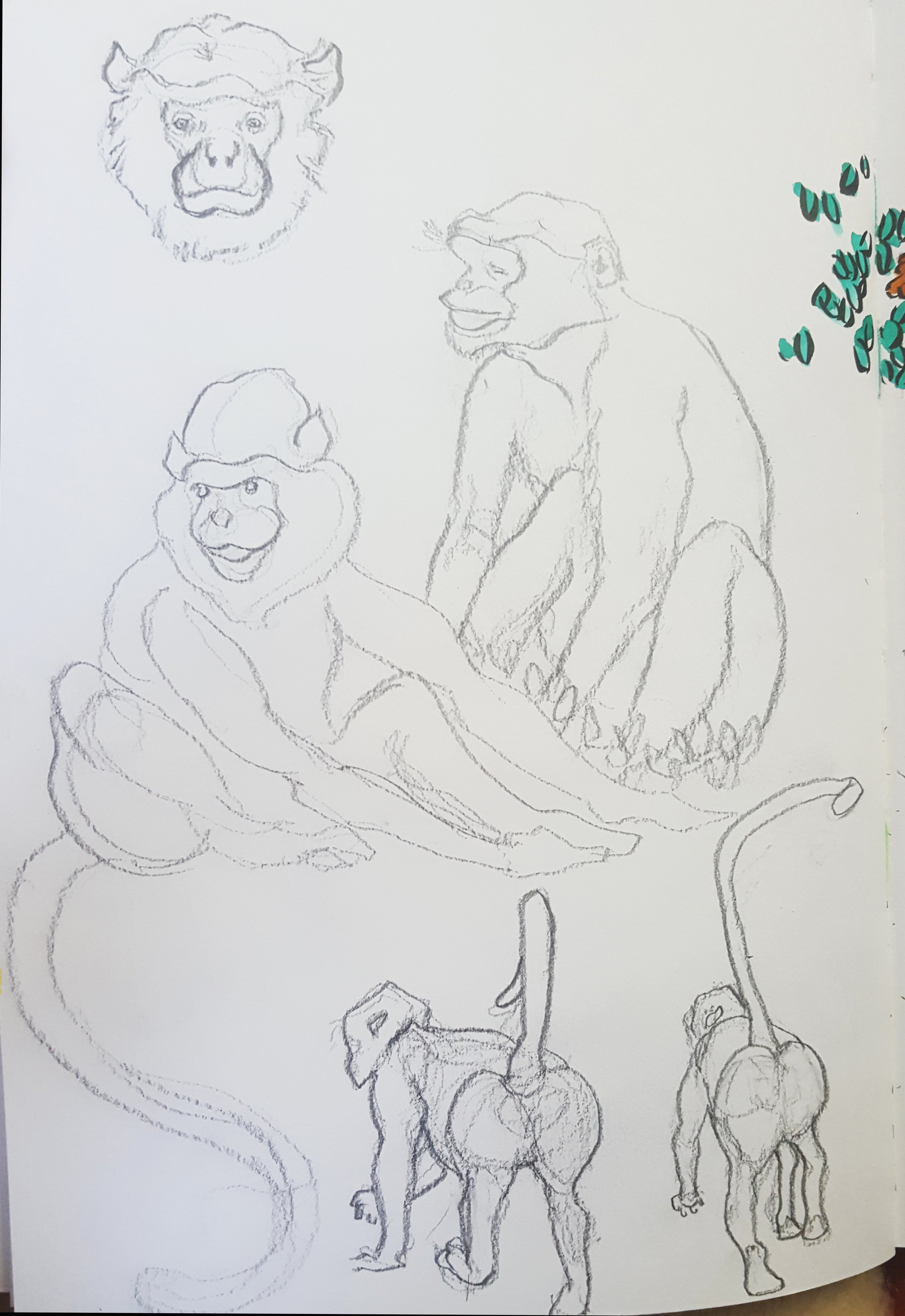 Monkeys Sketch.jpg