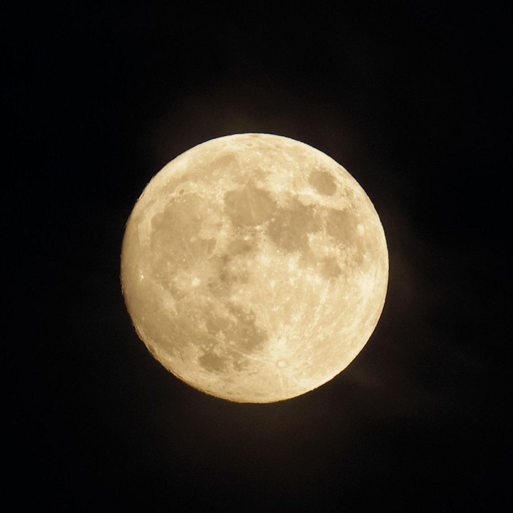 5833955873_c946a81fd4_o (FILEminimizer).jpg