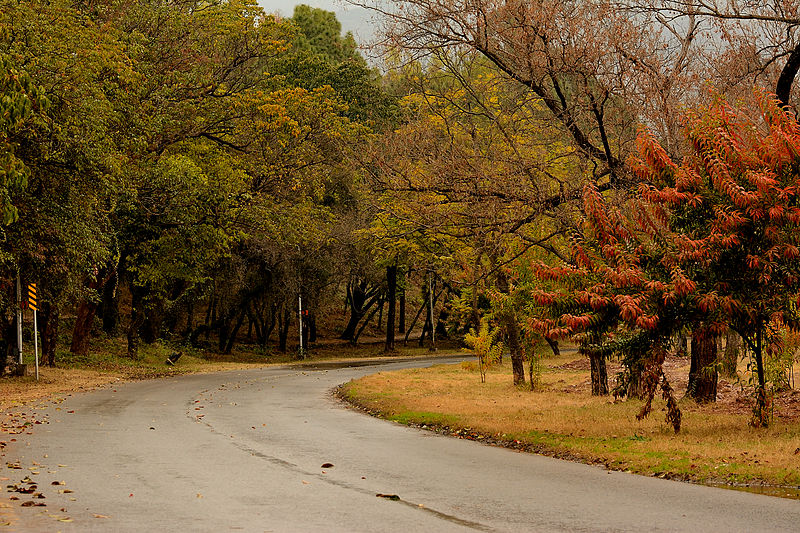 Ataturk_Avenue_-_Islamabad.JPG