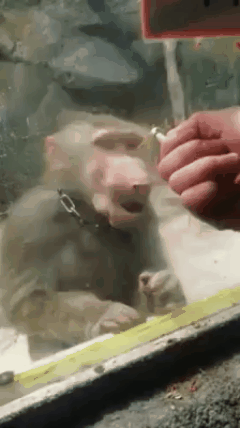 20180108_021921.gif