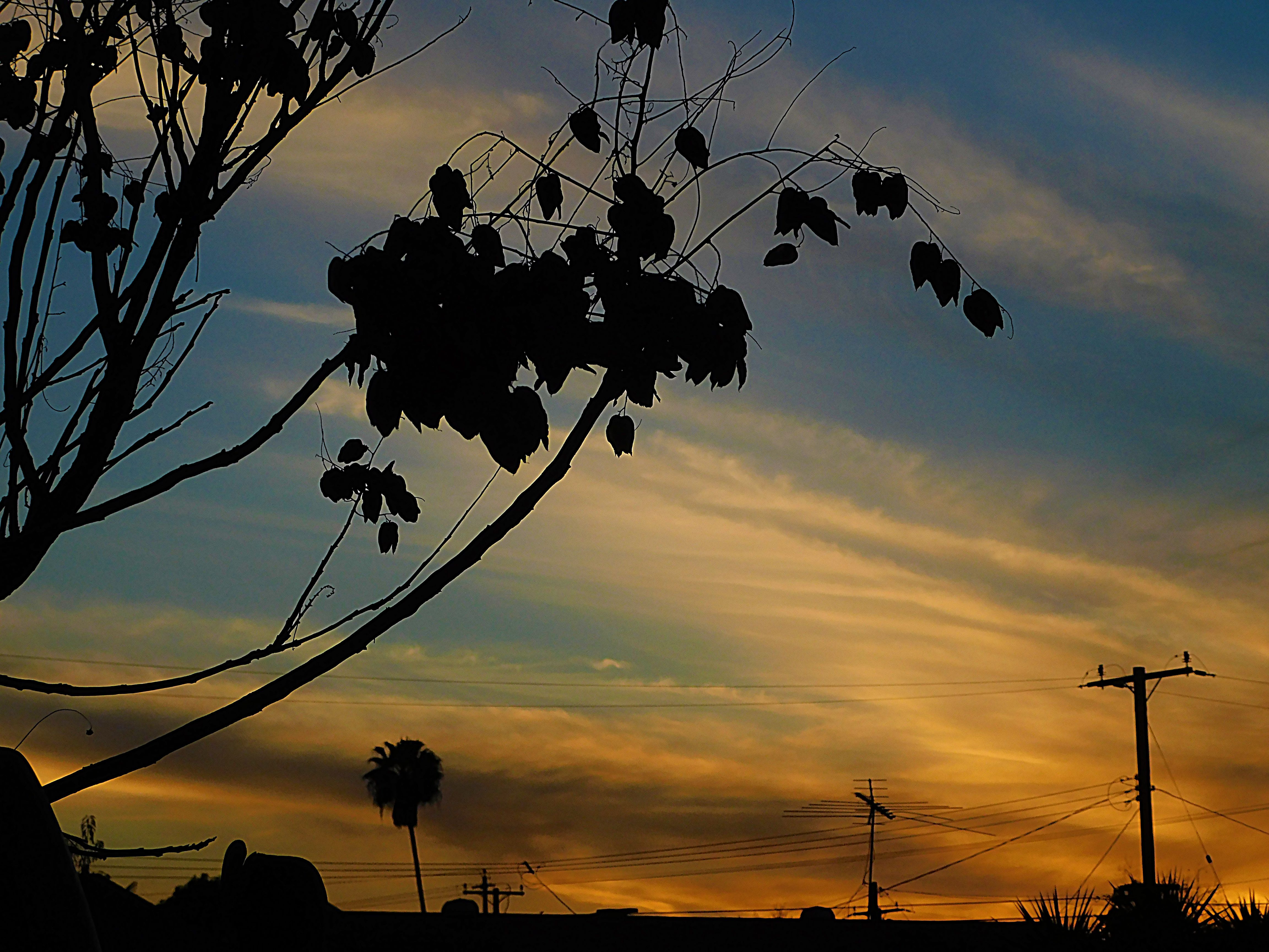 sunset, sunsetphotography, jeronimo rubio, 2018, nature, naturephotography (8).JPG