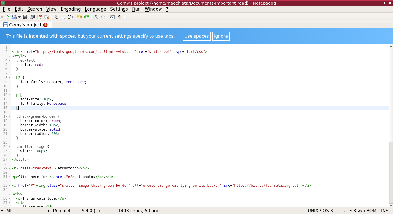Cemy's project (-home-macchiata-Documents-Important read) - Notepadqq_006.png