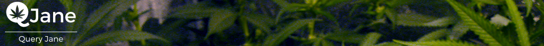 queryjane.png