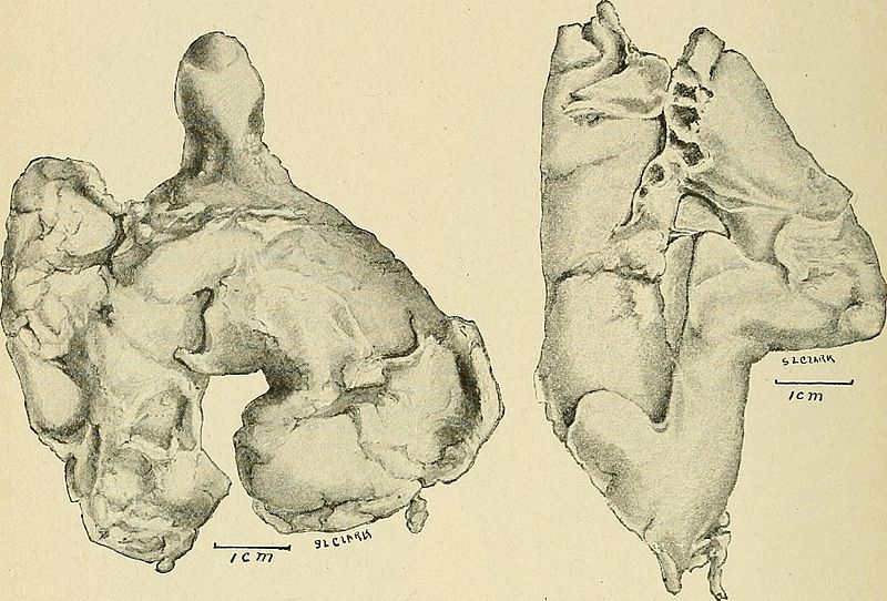 image 5.jpg