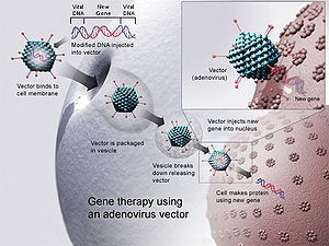 Gene Therapy.jpg