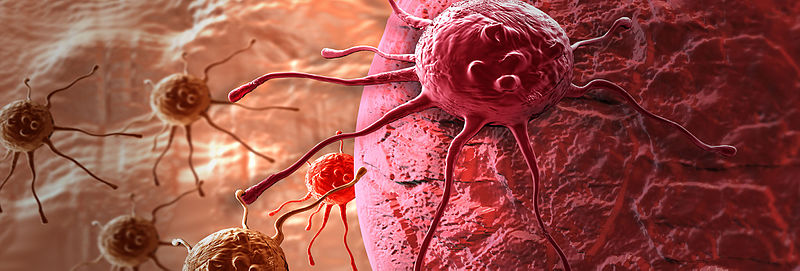 Cancer-cell.jpg