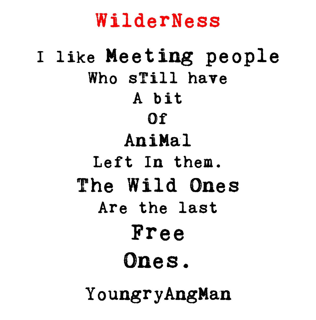 13_Wilderness.png