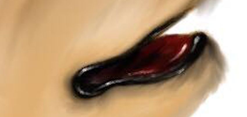 28000002_10208562799505883_1895701938_o.jpg