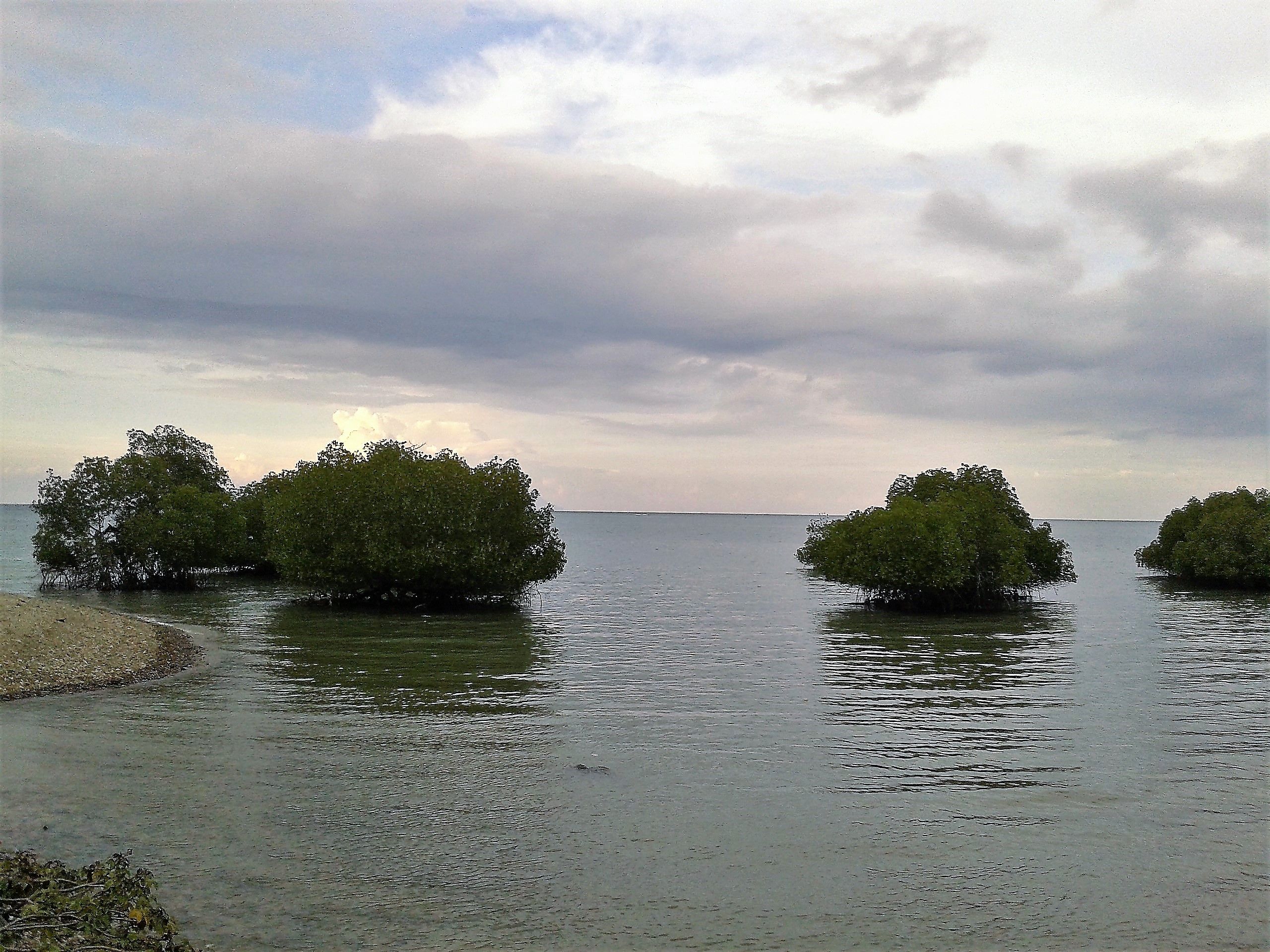 20140309_173159.jpg