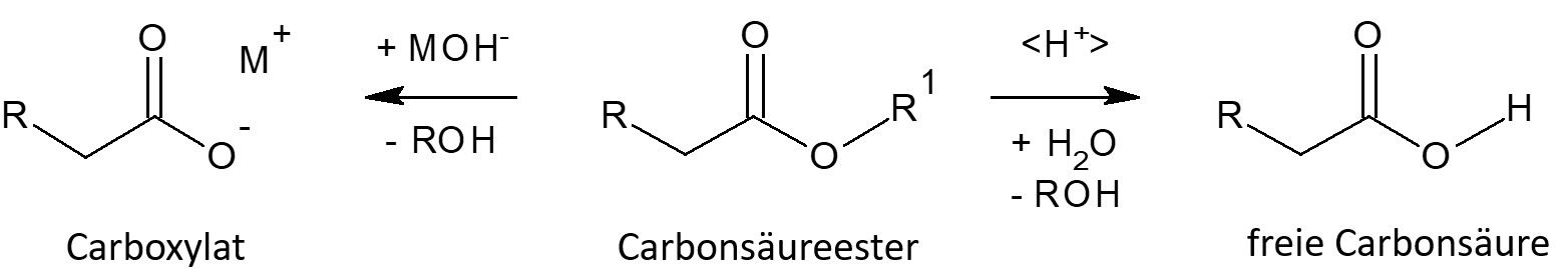 Ester-Hydrolyse.jpg