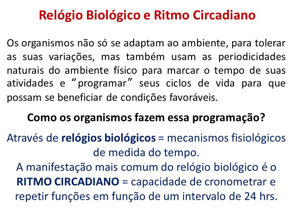 Relógio+Biológico+e+Ritmo+Circadiano.jpg