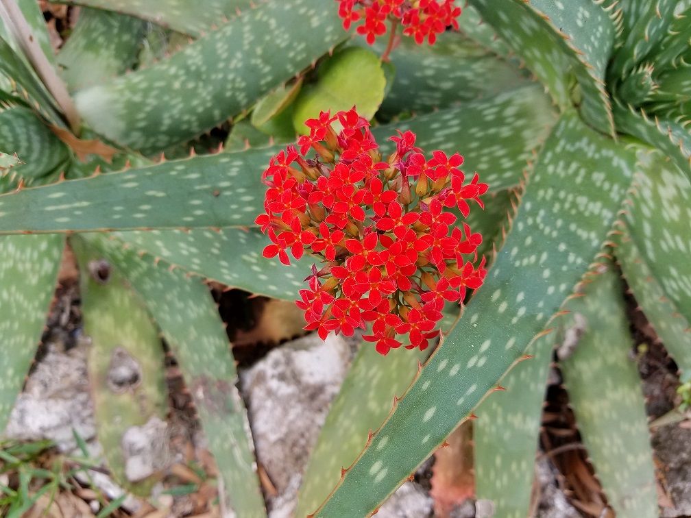 20180222_132252.jpg