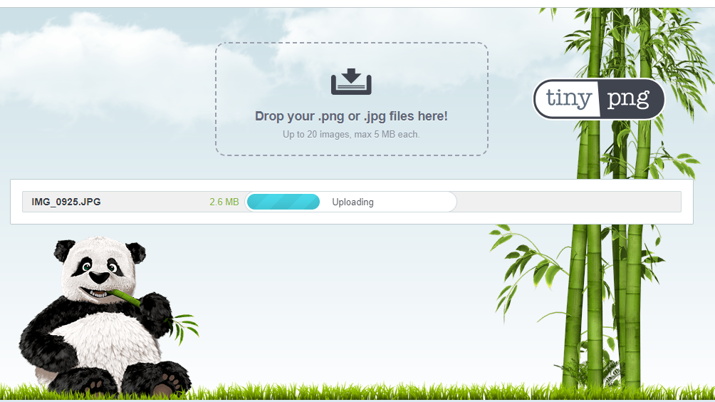 Тини пнг. Панда оптимизация изображения. Панда сжатие картинок. Обработчик фото TINYPNG. TINYPNG.com на русском.